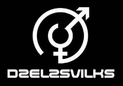 logo Dzelzs Vilks